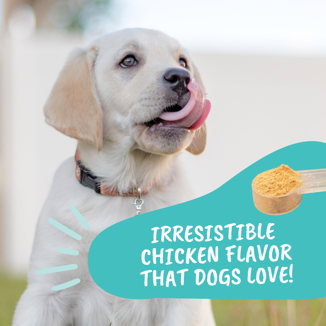 Under the Weather Probiotic Powder for Dogs