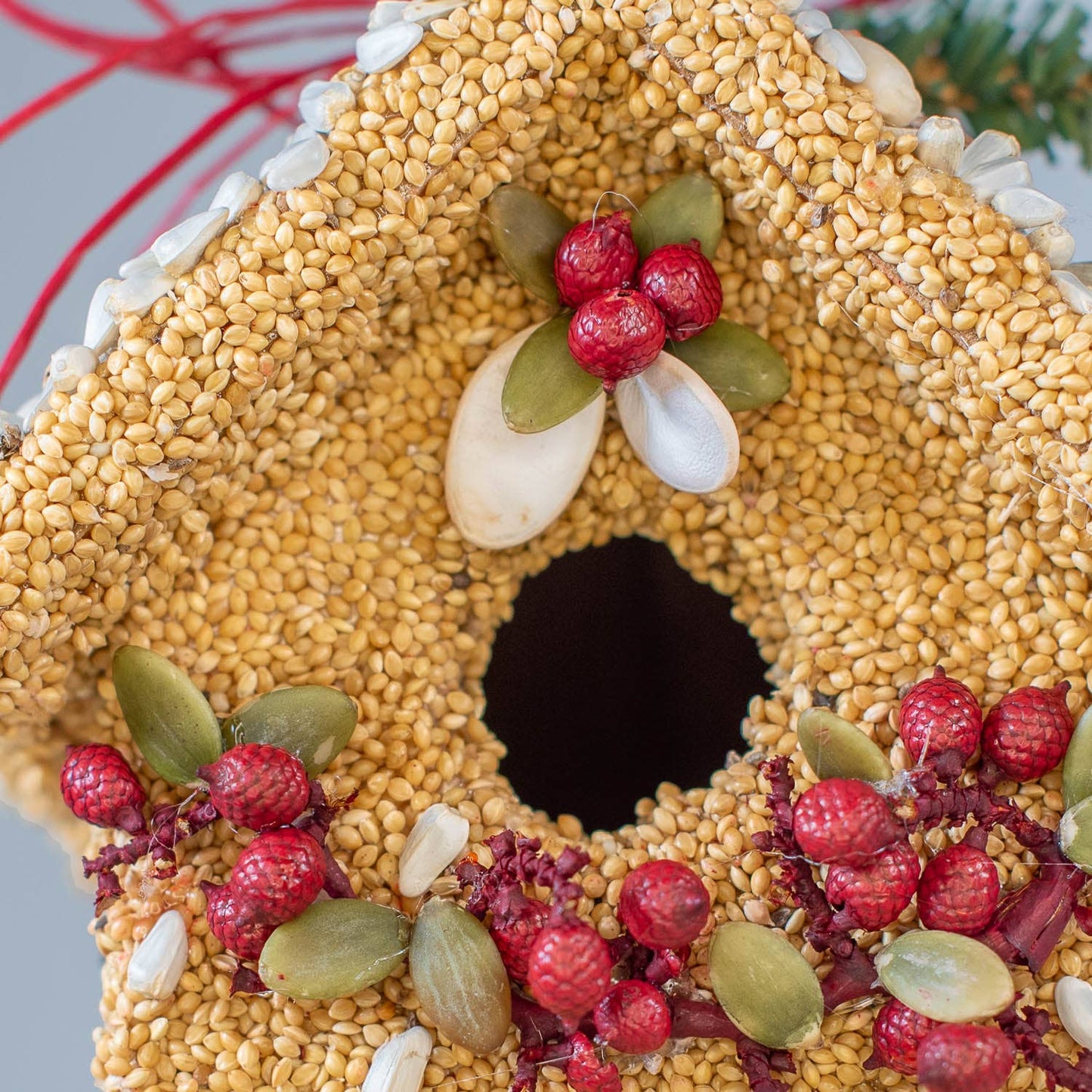 Poinsettia Birdie Cottages