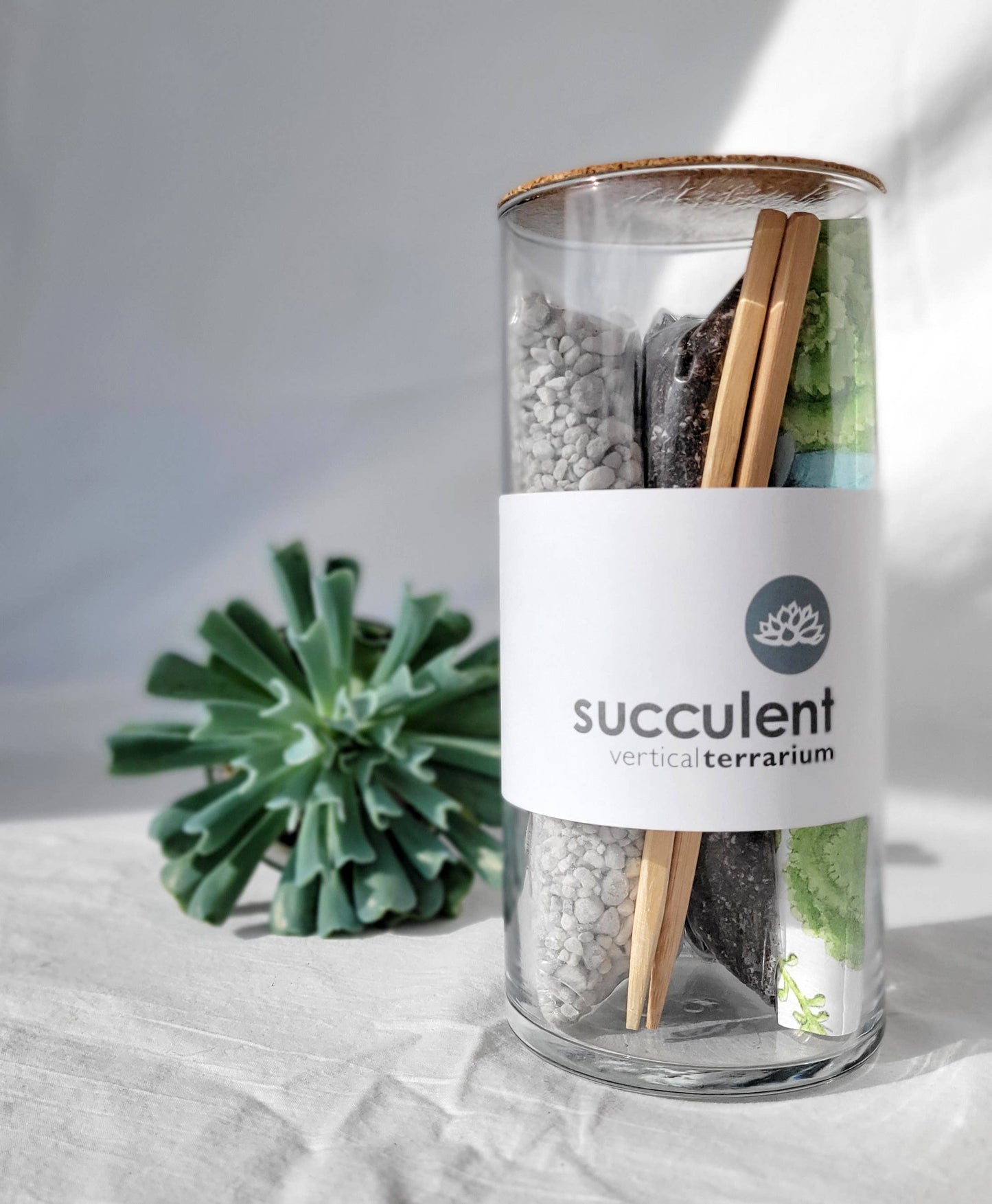 Succulent Terrarium | Gift idea: Vertical Terrarium