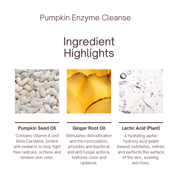 Pure Ceuticals Pumpkin Enzyme Cleanser