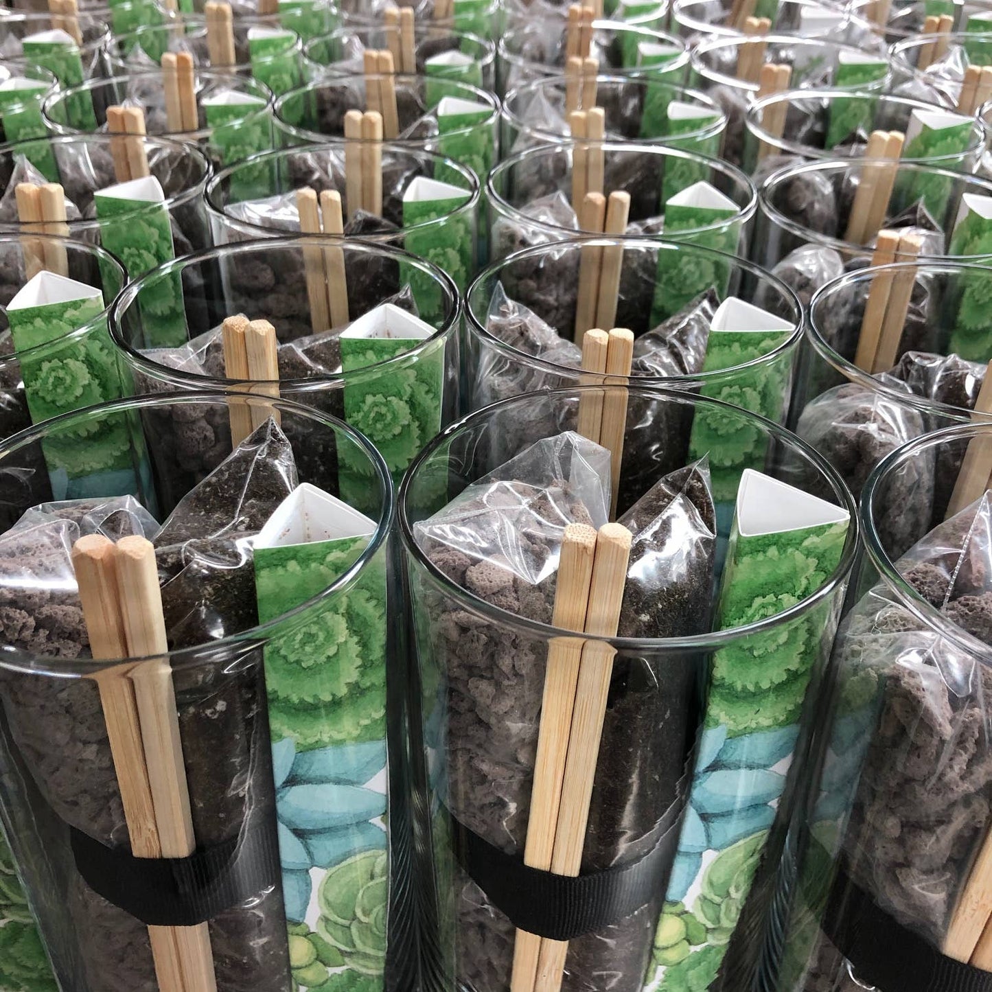 Succulent Terrarium | Gift idea: Vertical Terrarium