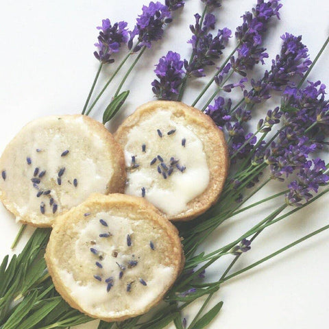 Garden in a Pail | Lavender