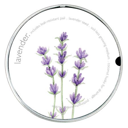 Garden in a Pail | Lavender