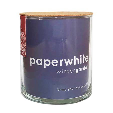 Essential | Paperwhite Garden | Holiday Christmas Gift idea