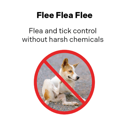 Flee Flea Flee Natural Yeast & Garlic Formula Dog Supplement