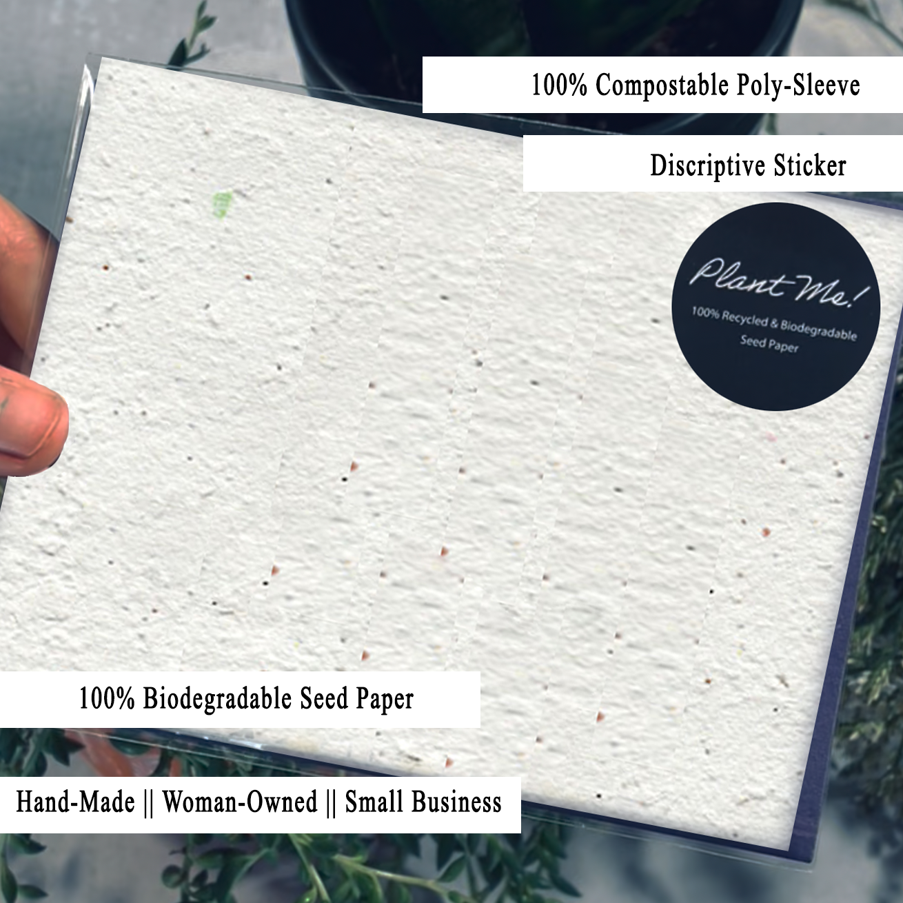 Whimsical Hummingbird Harmony Wildflower Seed Paper Card