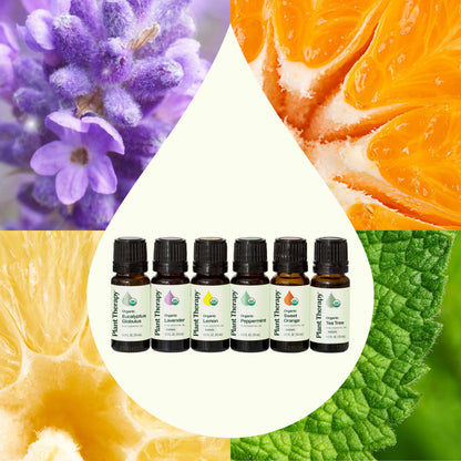 Top 6 Organic Essential Oil Singles Set