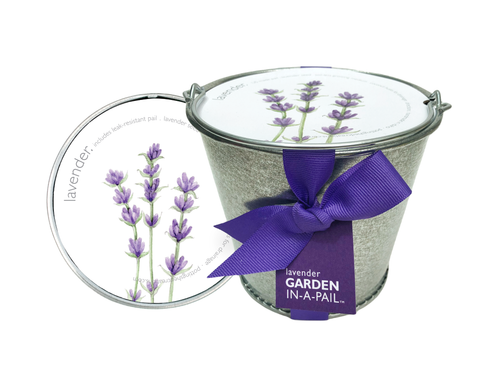 Garden in a Pail | Lavender