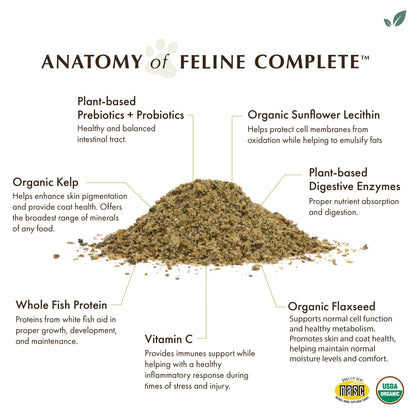 Wholistic Pet Organics Organic Pumpkin Feline Complete 4oz