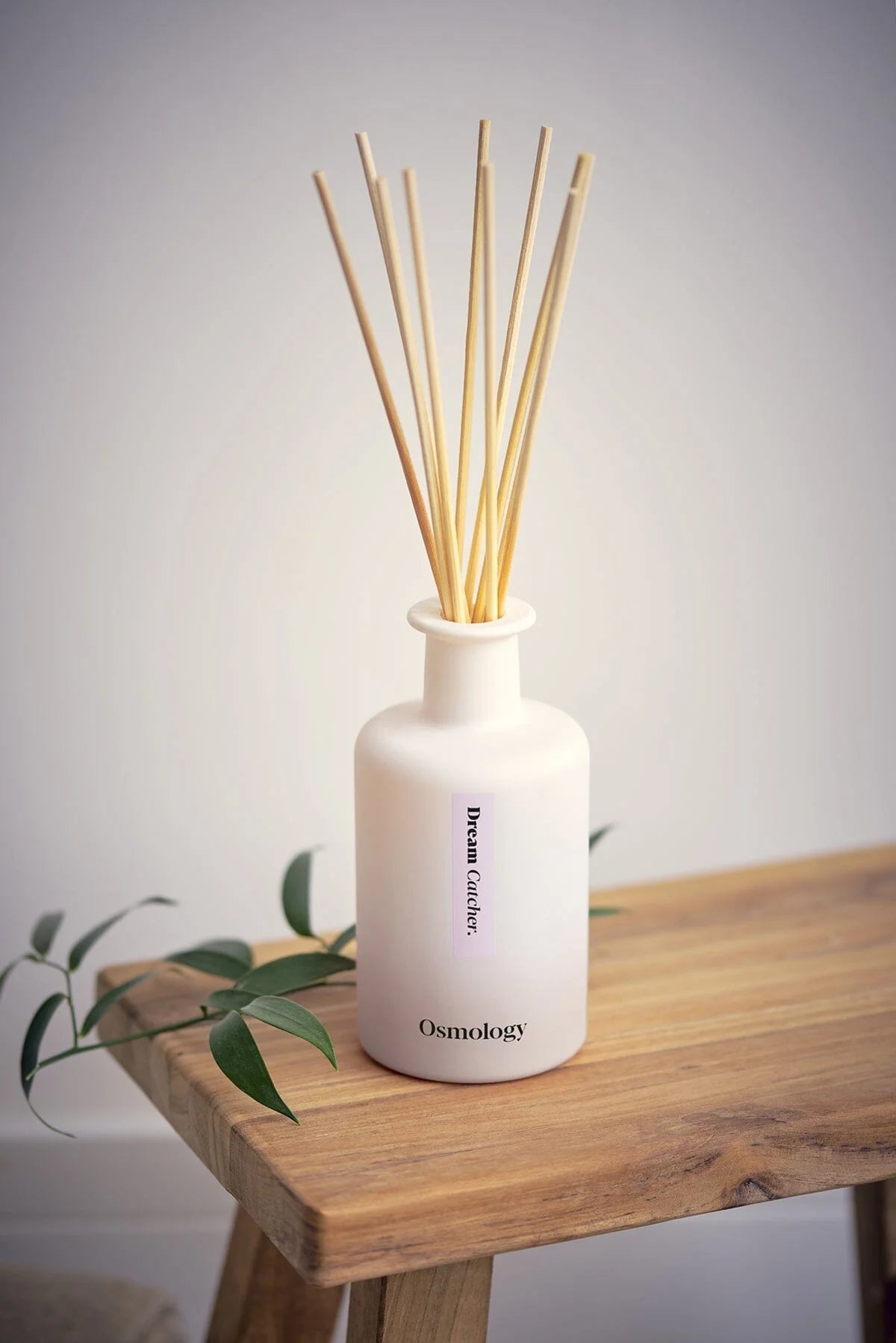 Osmology Dream Catcher Diffuser