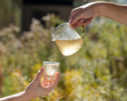 Revive Yerba Mate Organic Wellness Tea