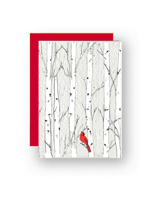 Christmas Cardinal Wildflower Seed Paper Greeting Card