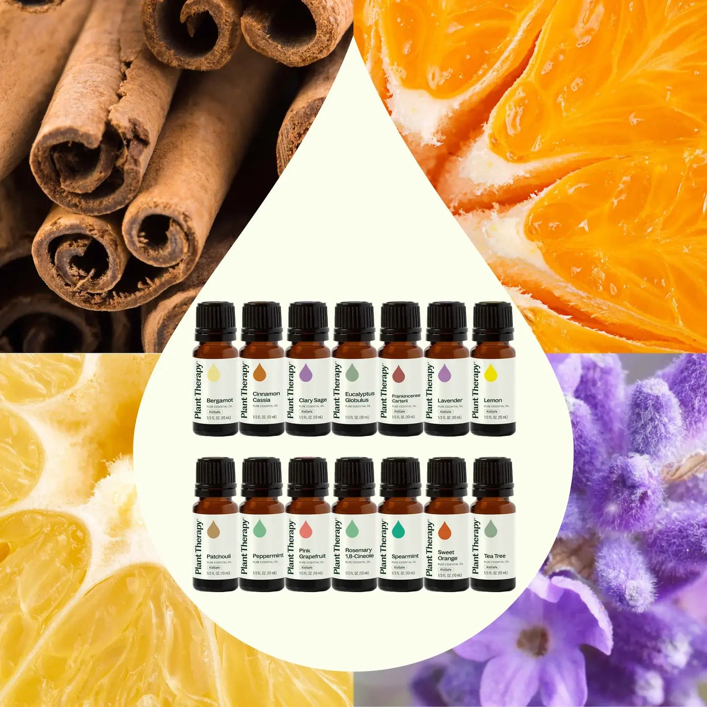 Plant Therapy Sweet Orange Essential Oil 10ml