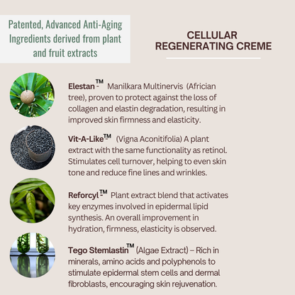Cellular Regenerating Crème Anti-Aging Moisturizer