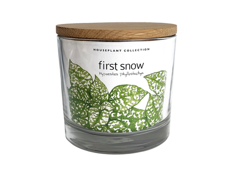 Houseplant Collection | First Snow | Christmas Gift idea