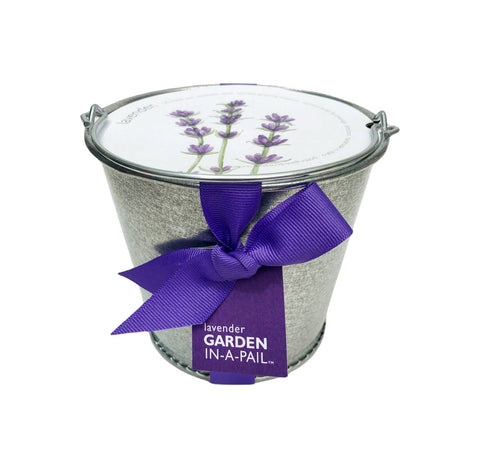 Garden in a Pail | Lavender