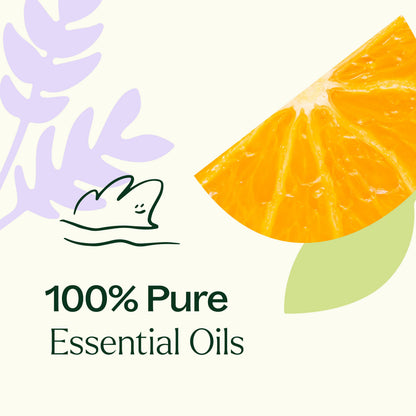 Meditation Essential Oil Blend 10 mL